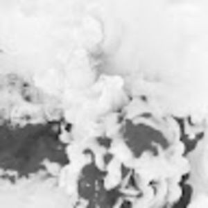 Meet your Posher, Lynette